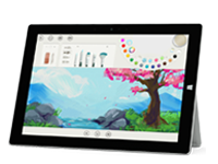 彝良Surface 无法开启、Windows 无法启动或电池无法充电